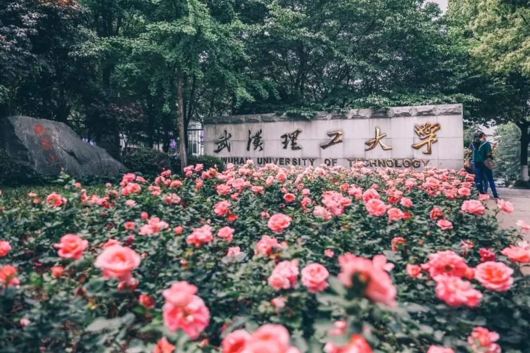 武汉理工大学(武汉理工大学是985还是211大学)