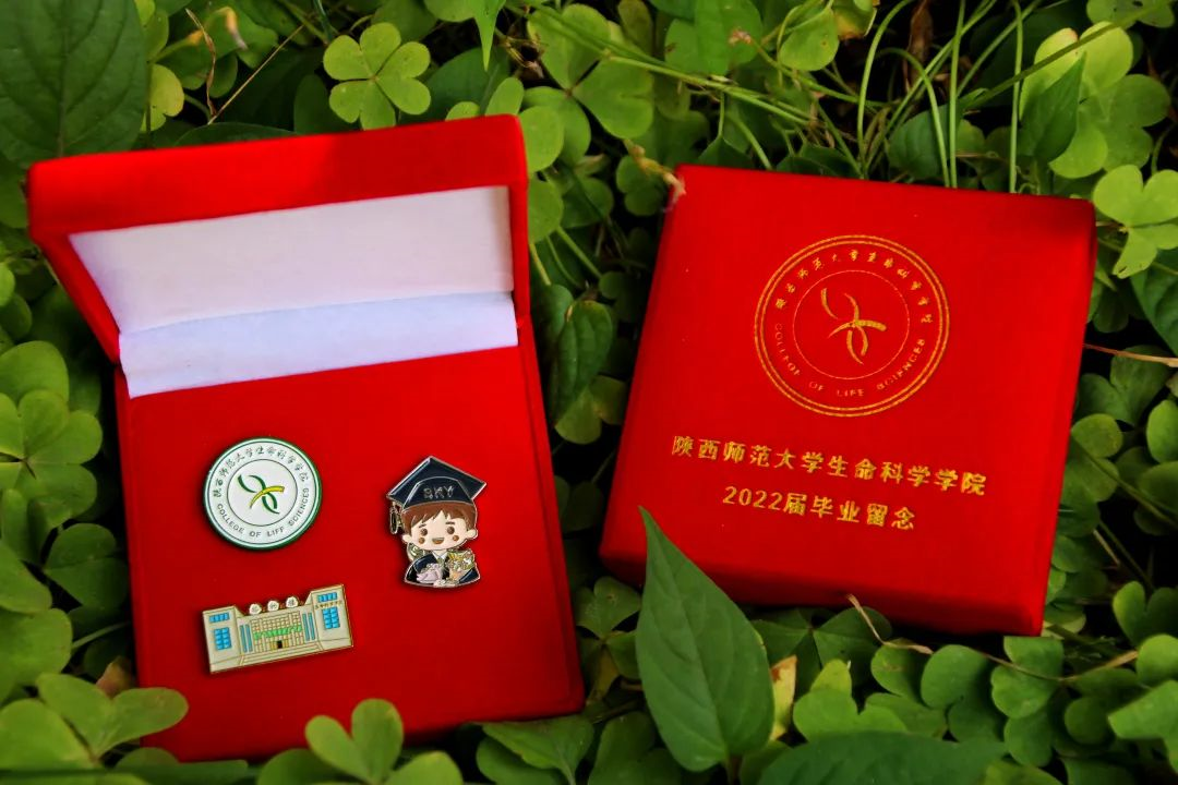 陕西师范大学毕业证什么时候发