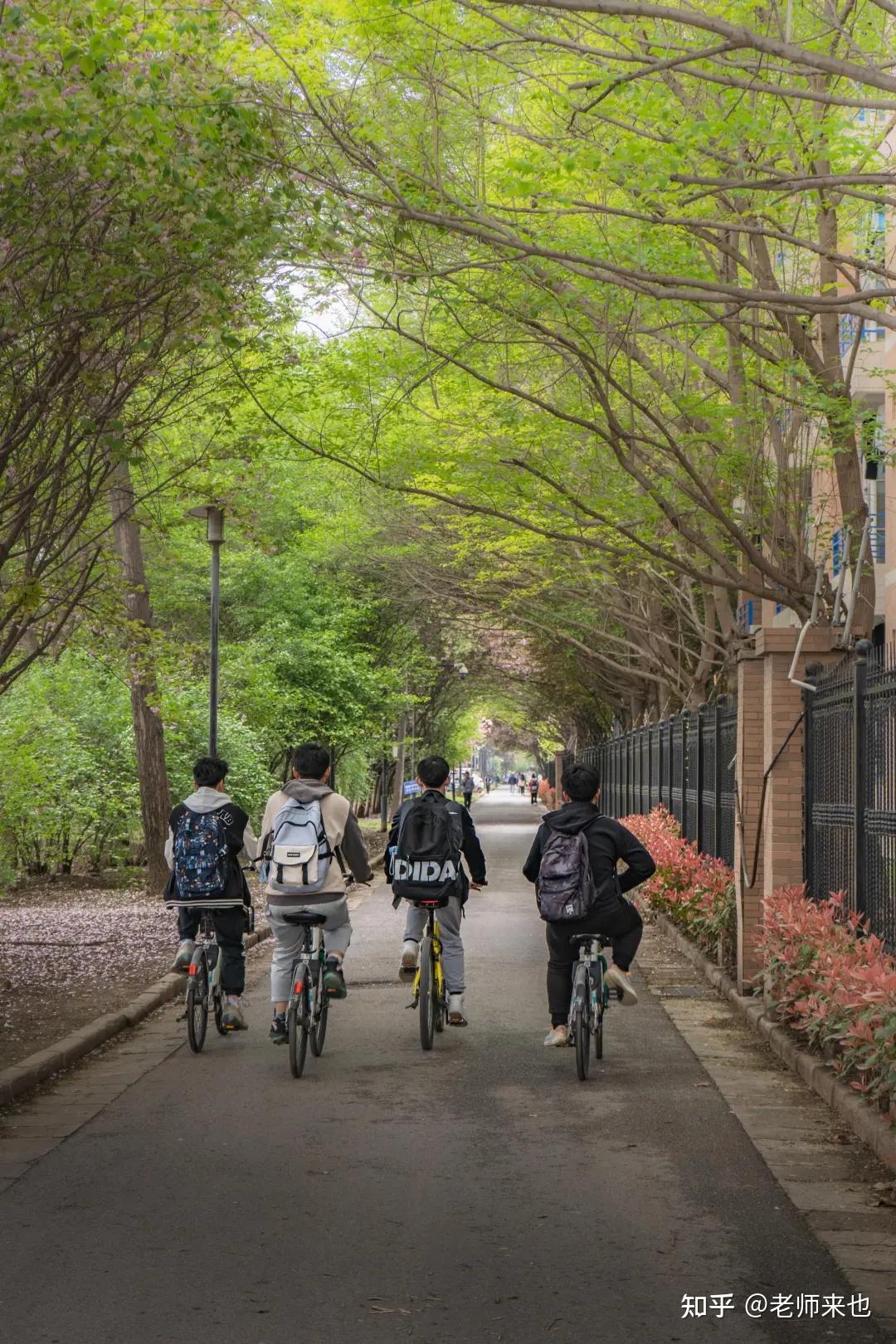 西安电子科技大学中外合作办学