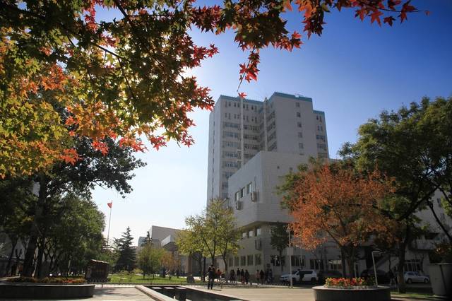 首都医科大学本科毕业去向去