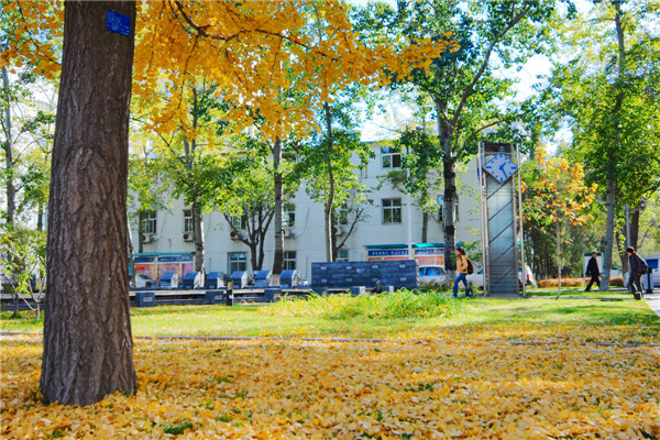 北京邮电大学毕业要求