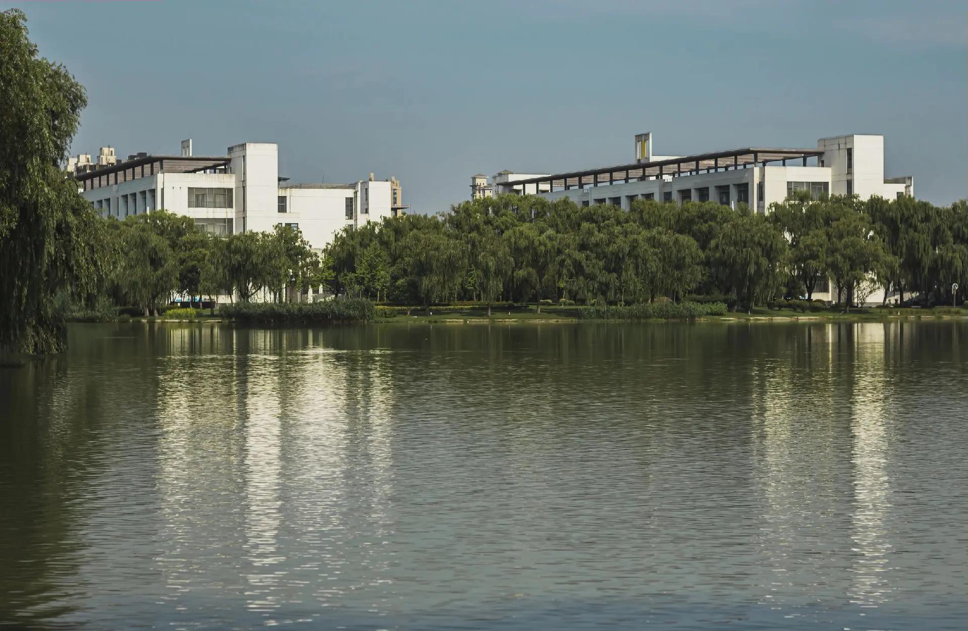 东华大学王牌专业