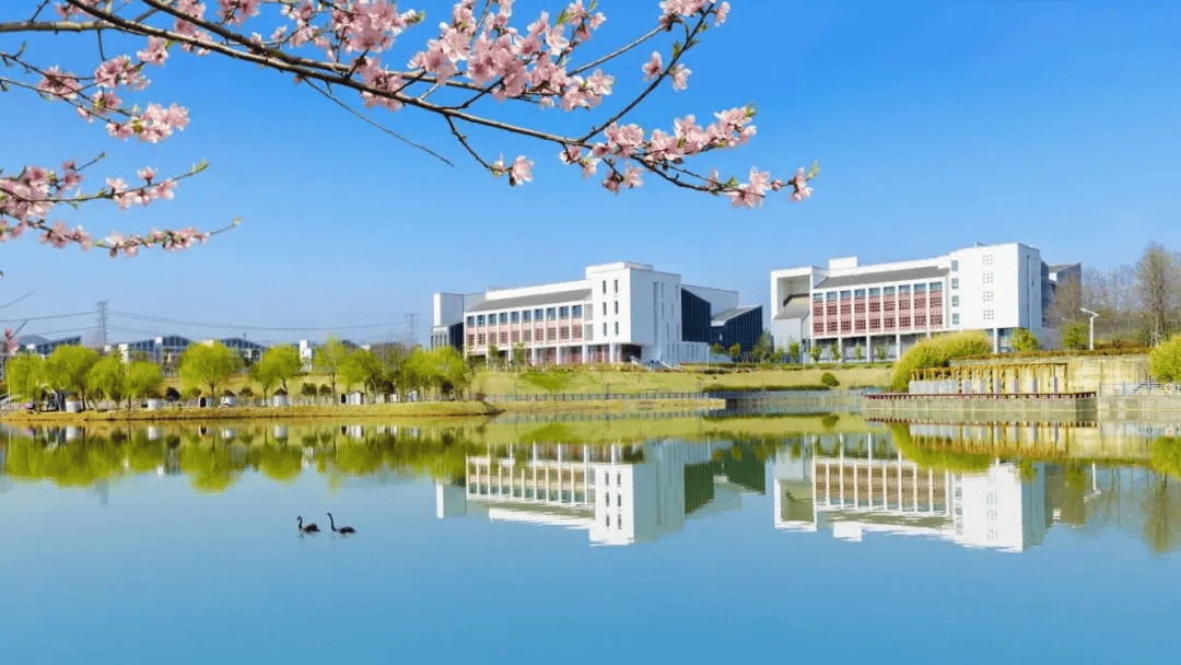 合肥工业大学全国排名