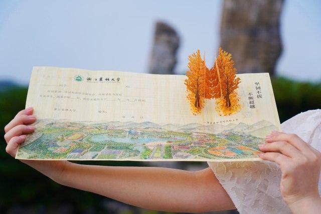 南开大学学历证书图片