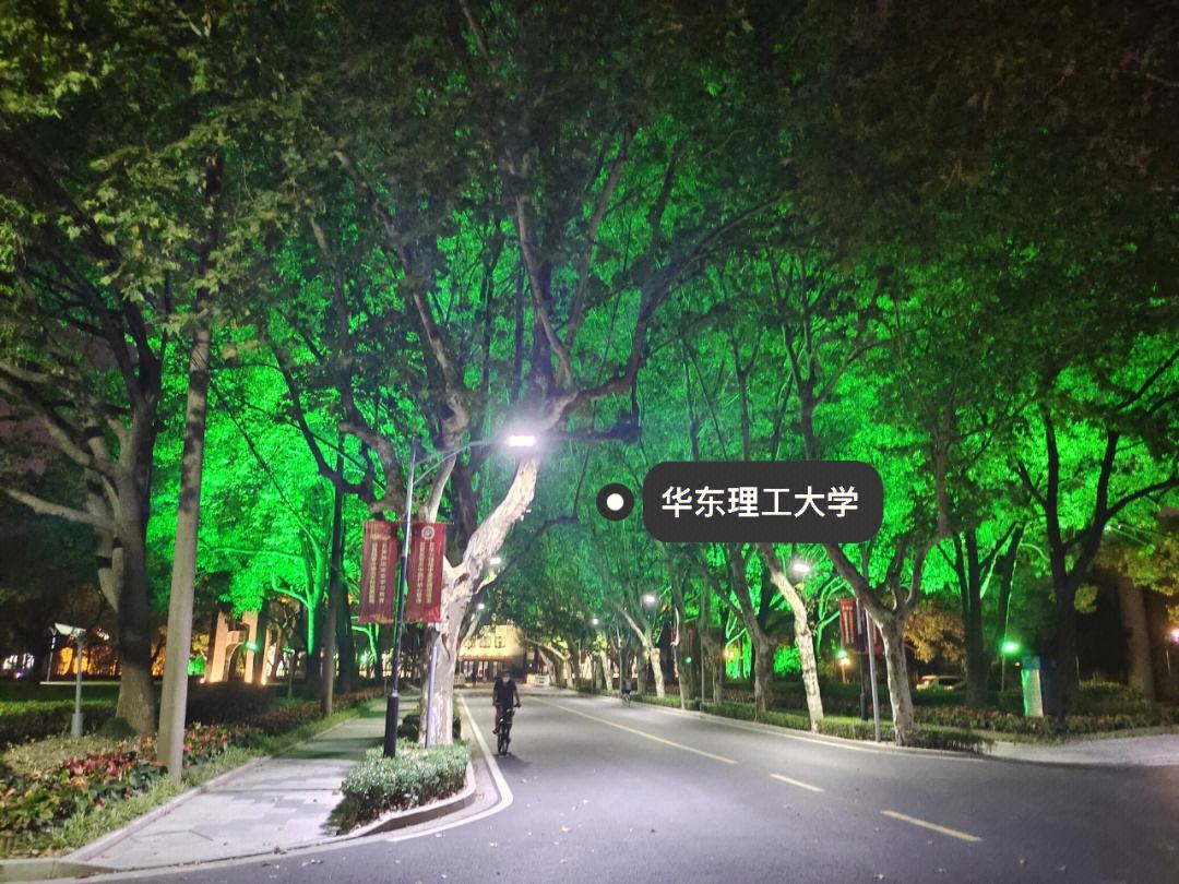 华东理工大学在哪个城市