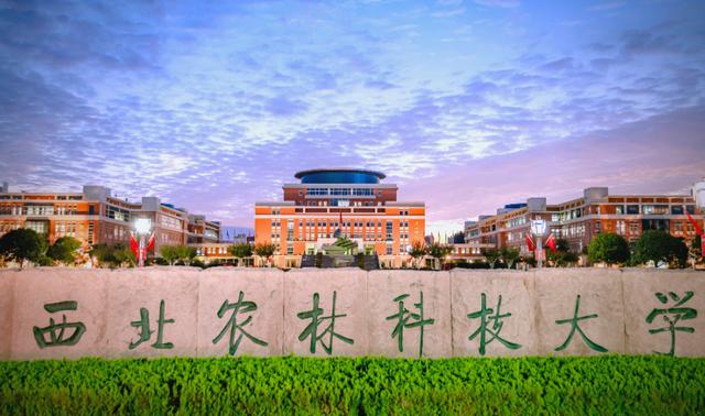西北农林科技大学是985还是211